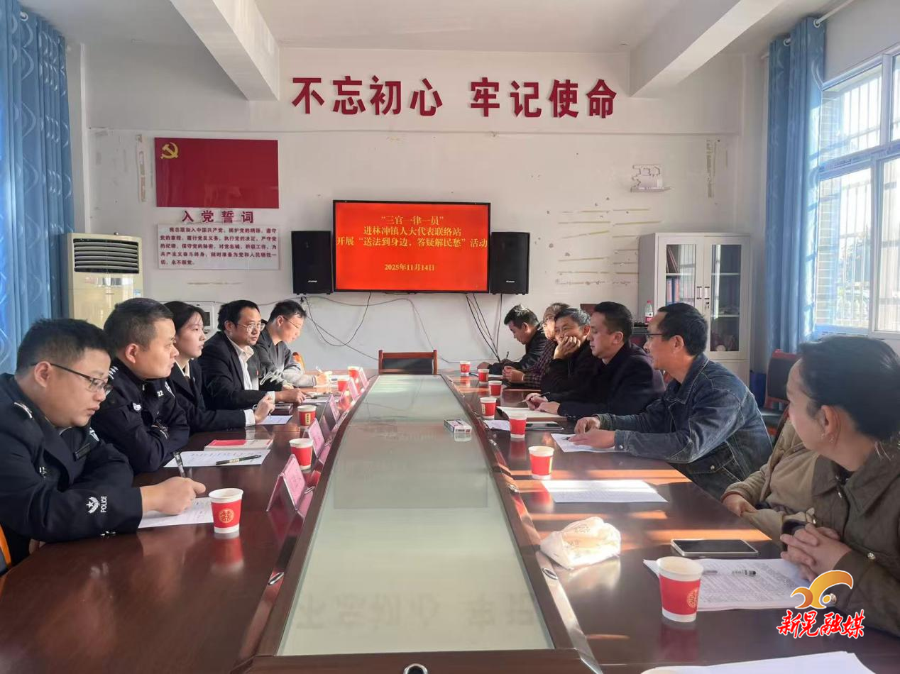 林冲镇开展“三官一律一员”进站  送法活动