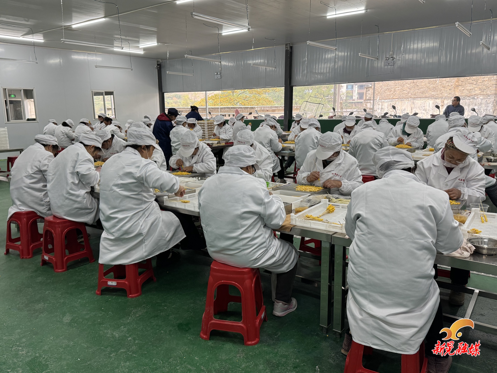 乡村产业“组织化”革命：一个小厂房的深远回响