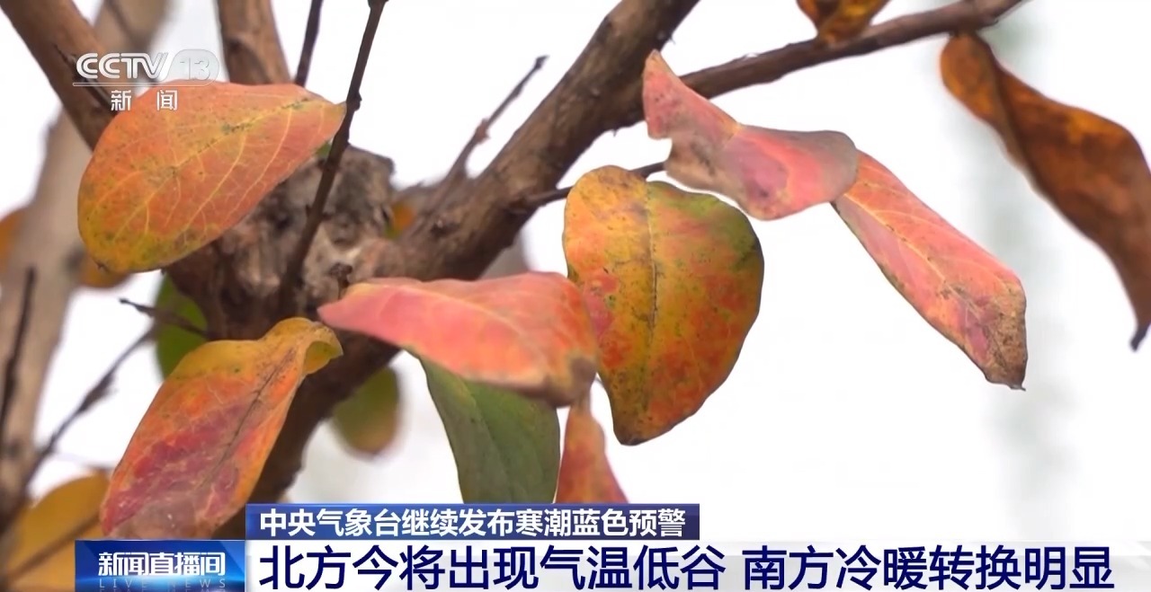 寒潮深入南下 携大风继续影响我国多地