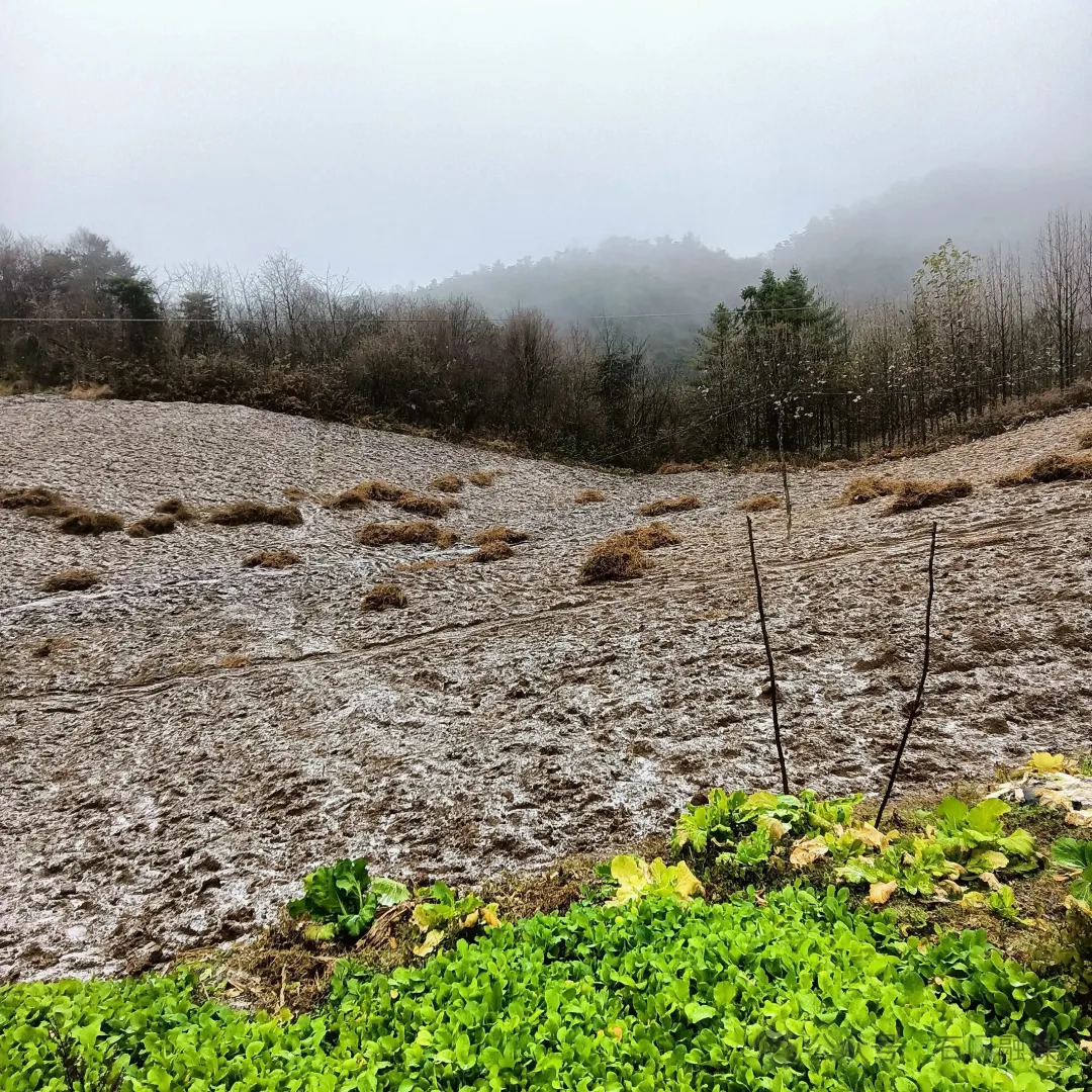 刚刚！湖南下雪了！！