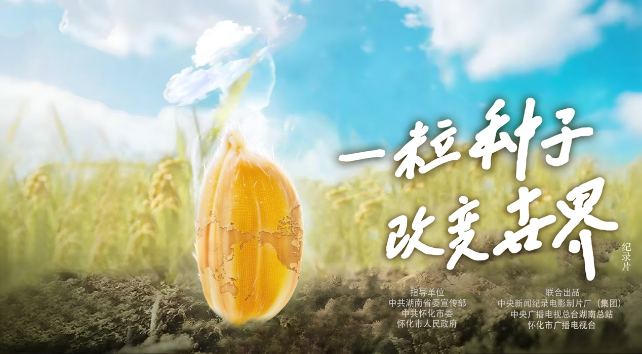 稻浪千里 禾下苍穹｜纪录片《一粒种子改变世界》即将播出