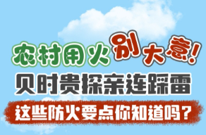 贝时贵历险记丨探亲连踩雷，这些农村防火要点你知道吗？
