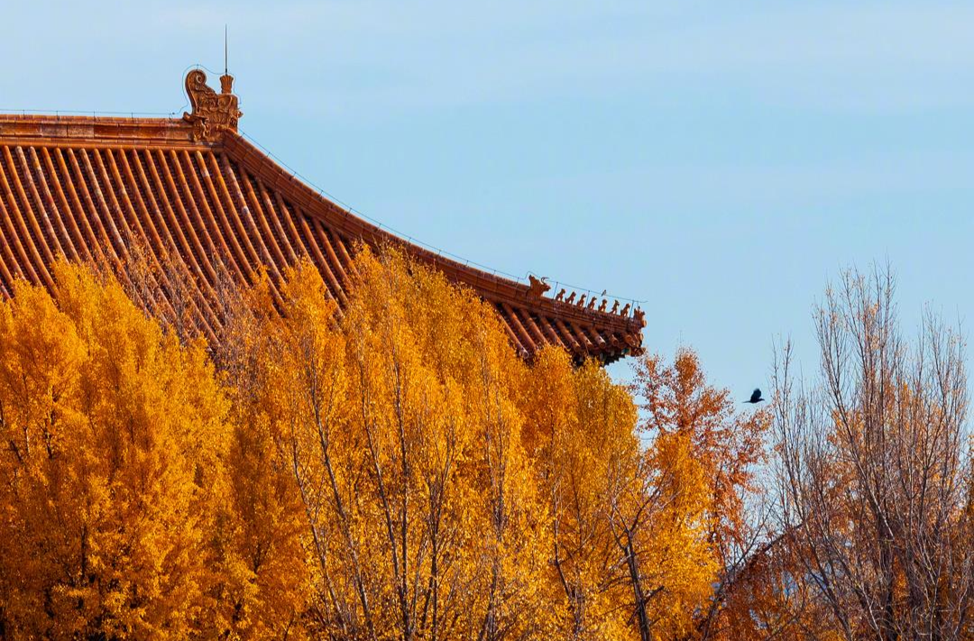 转发收藏！故宫初冬鎏金壁纸上新了