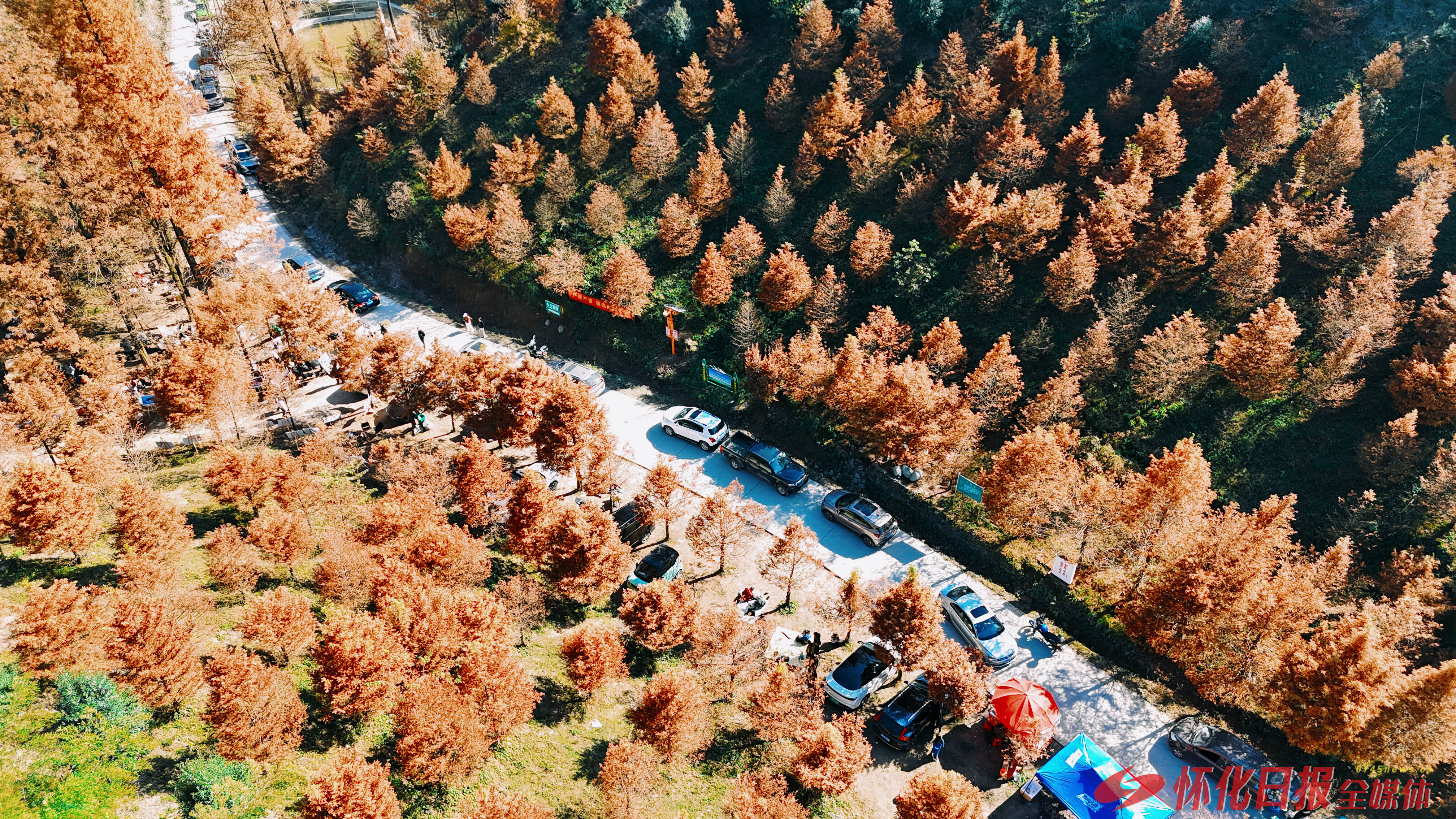 图说 | 冬日秘境