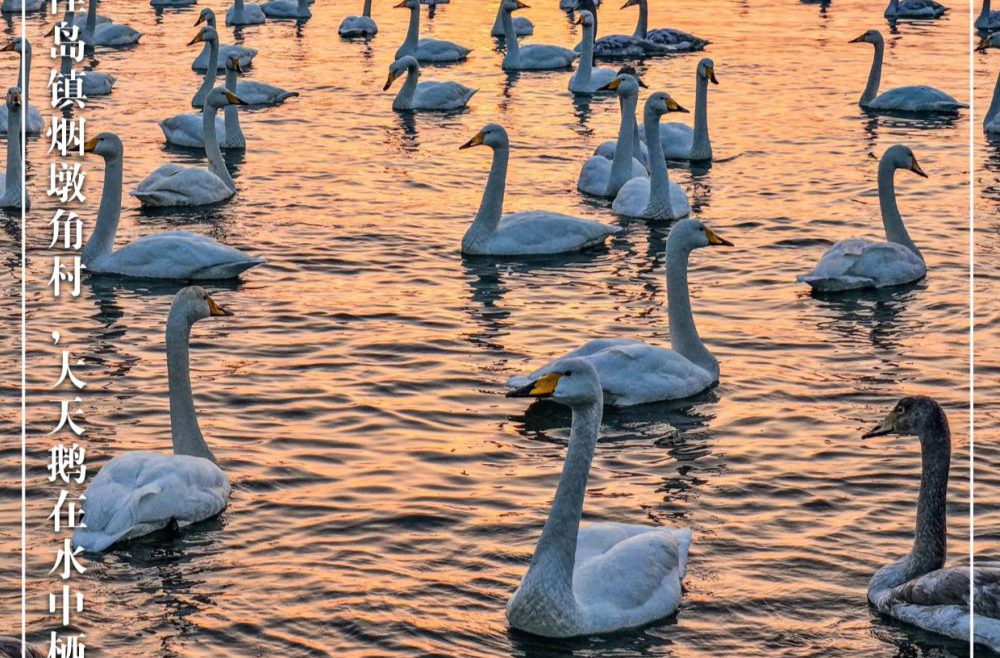 “初冬限定”美景上线！一起来欣赏吧