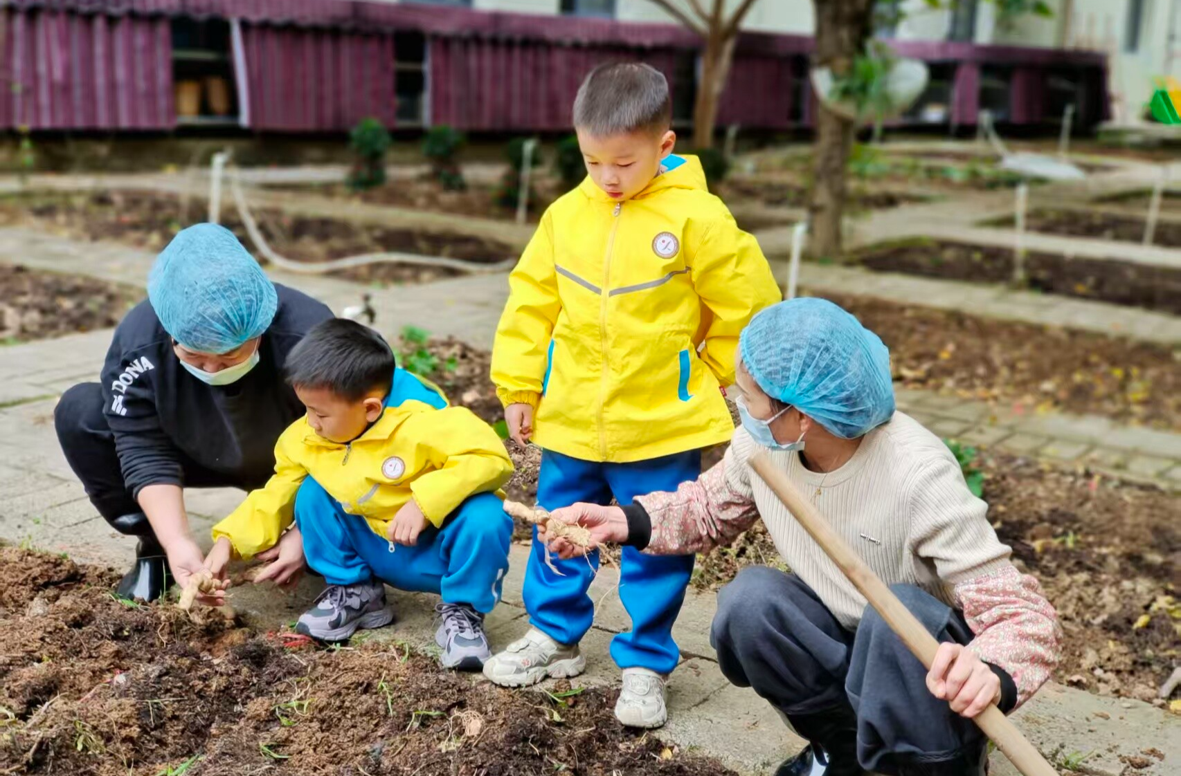 寻味侗乡本草 浸润幼教初心——新晃幼儿园中山路分园开展本土药草探索实践活动