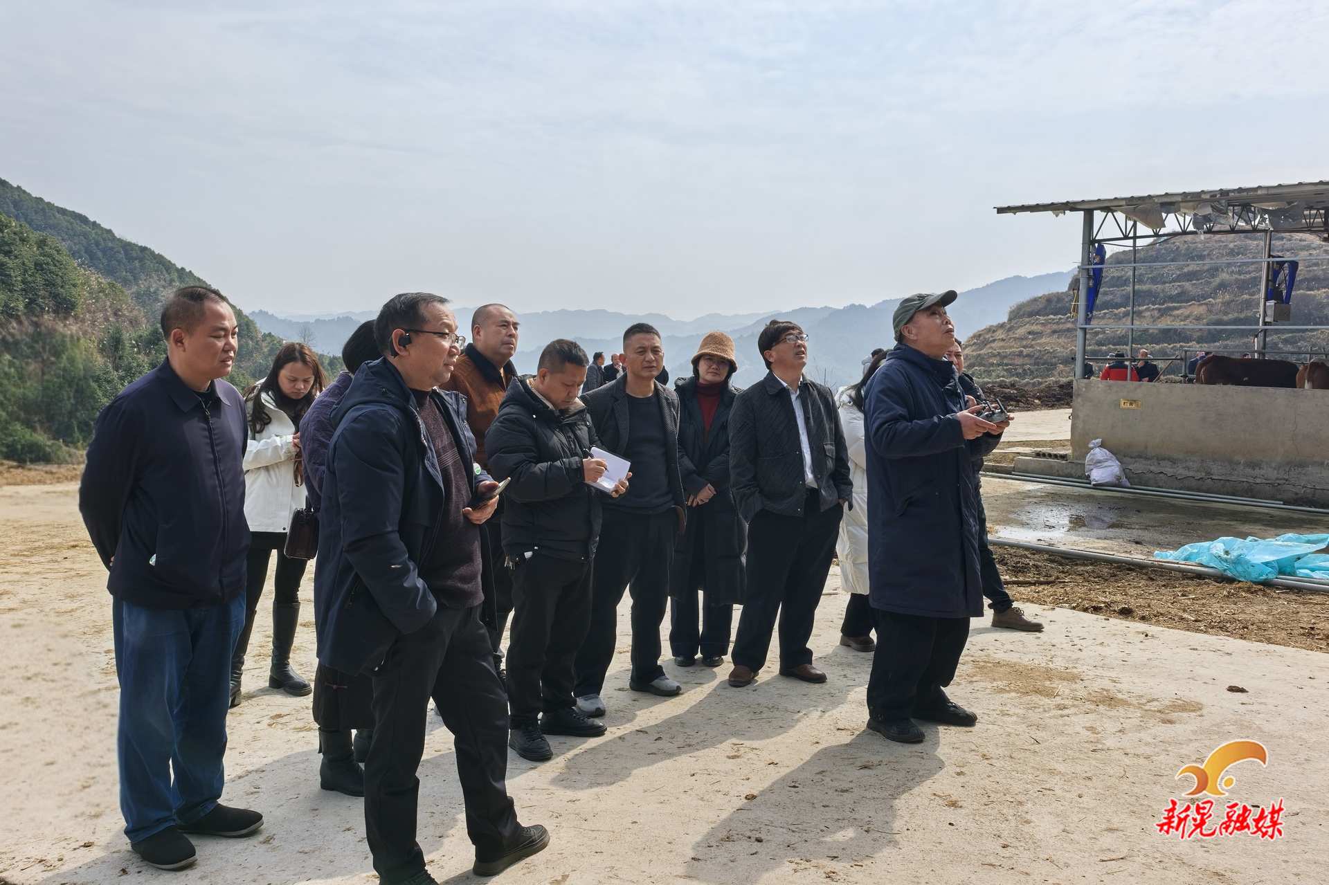 新春走基层丨县作协到波洲镇开展县庆采风创作活动