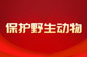 新晃侗族自治县野生动物保护政策宣传（二）《中华人民共和国刑法》