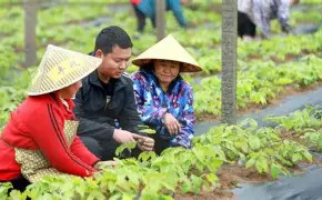 农民和返乡人员快报名！学什么、什么时候学，都定了