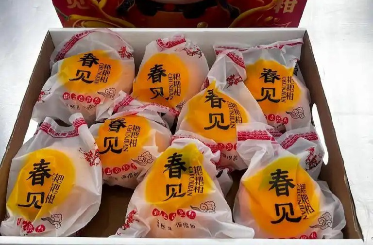 2026“显眼包”年货大盘点 你的购物车里有哪些