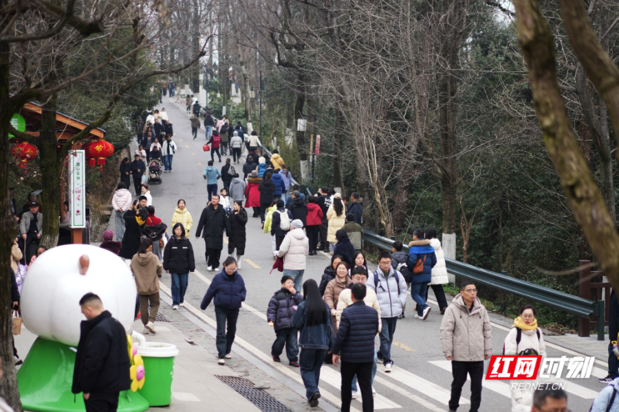 新春走基层丨大年初一登高祈福 长沙岳麓山迎新春“开门红”