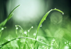 雨水节气，顺问春安