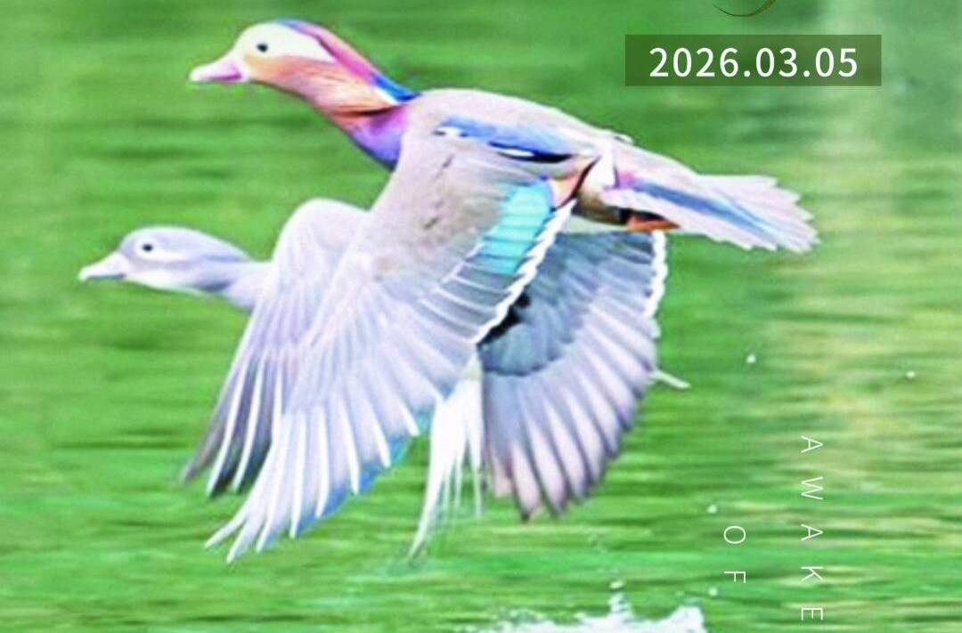 惊蛰到，万物生！来一场福地怀化春日之约