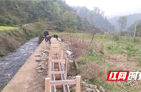 新晃凉伞镇：加快农田基础设施建设 扩面新增稻谷种植面积