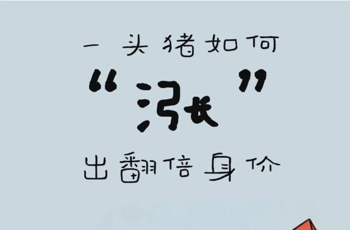 猪价跌穿5元，排骨为何还20元？揭秘“一头猪”的“涨价”链条