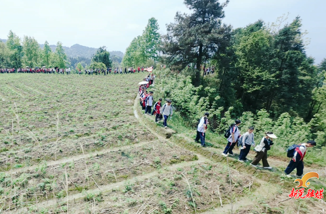 新晃芙蓉学校：探秘侗乡药谷  践行知行合一