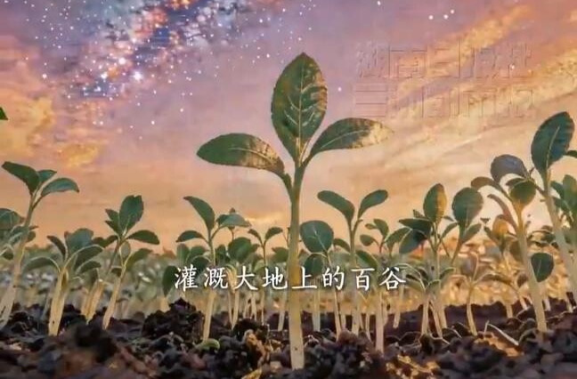 文化中国年 | 二十四节气·谷雨