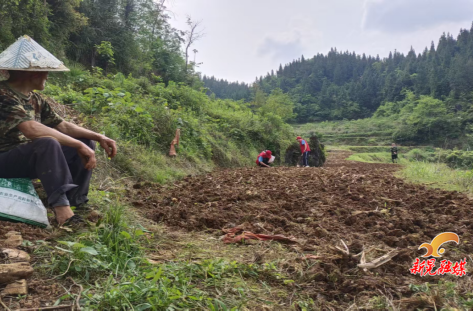 助农春耕践初心  少年行动助振兴