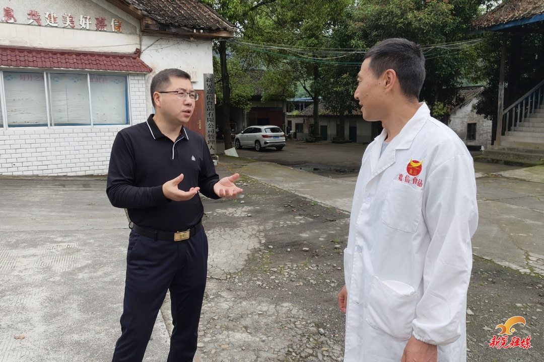 杨凯程专题调研重点项目建设工作