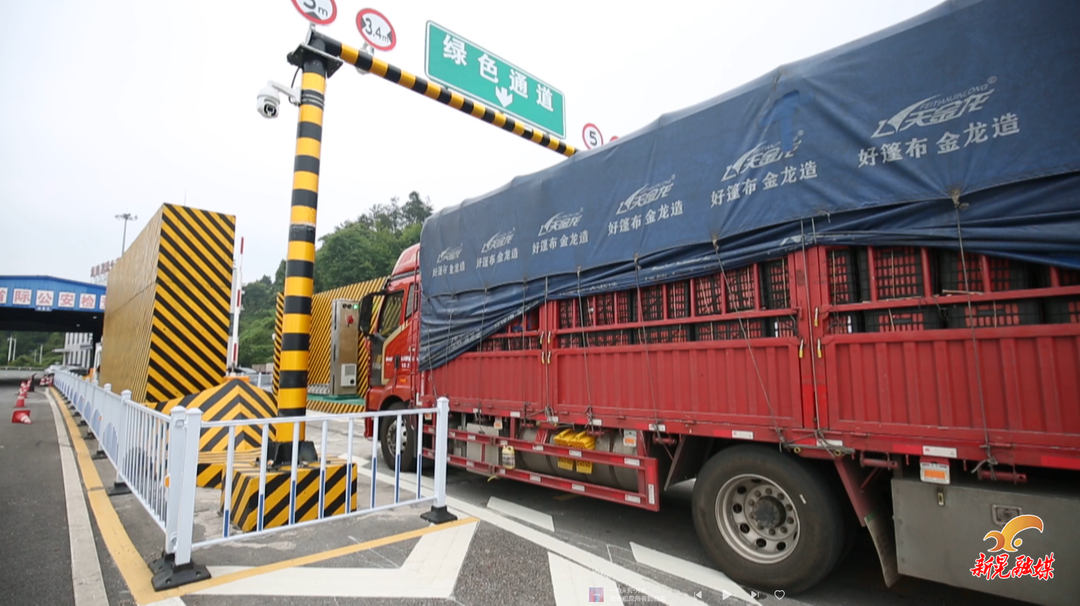 我县率先落地绿通“前置查验”新模式 省界“秒检”助果蔬跑出“加速度”