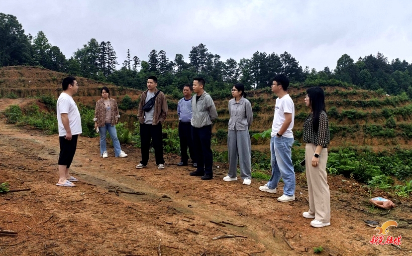 禾滩镇洛溪村：外出取经拓思路 聚力发展兴产业