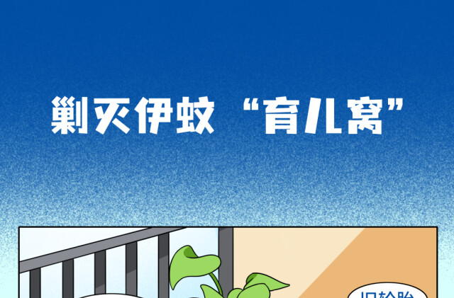 “医”图读懂丨湖南省疾控：清除伊蚊孳生地，科学防护远离登革热