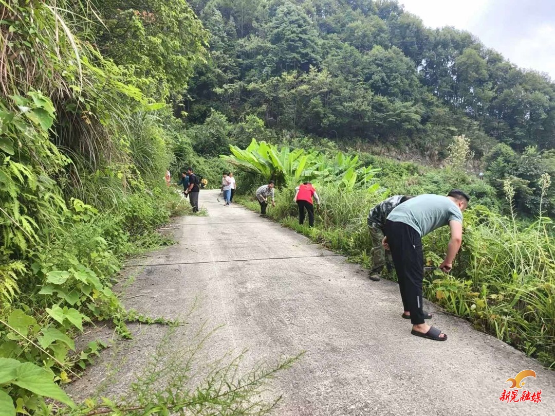 鱼市镇华南村：党群齐“护美”  守护乡村“高颜值”