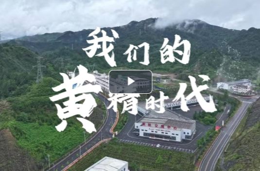 新晃70·正青春⑩ | 特色产业篇：我们的“黄精时代”