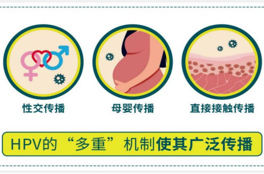 湖南进口九价HPV疫苗惠民政策调整！男女接种时限、人群最新细则出炉