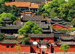 从“预流”到“引流”远不止一字之差