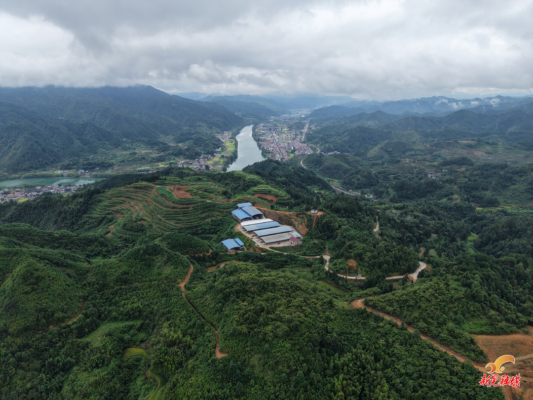暮山坪养牛基地：做强生态黄牛产业 激活乡村振兴新动能