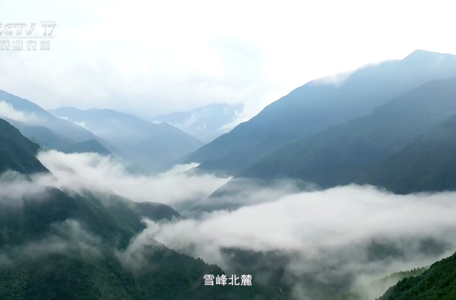 《丰饶溆浦 · 阔步向前》 ——湖南省怀化市溆浦县