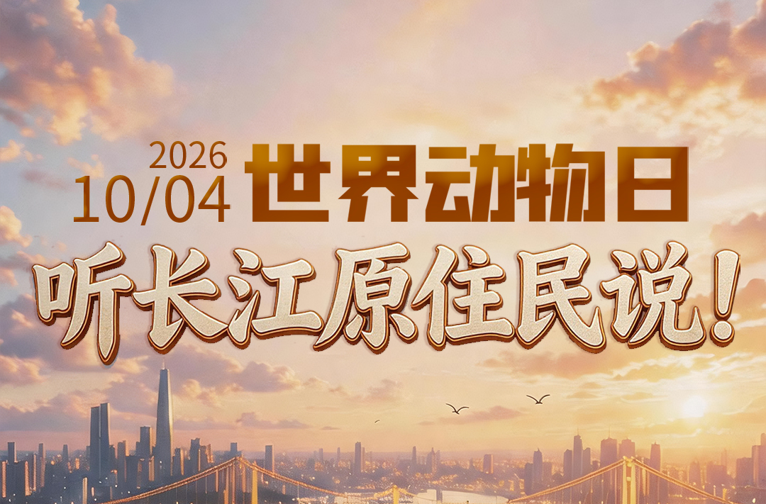 世界动物日，听长江“原住民”说！