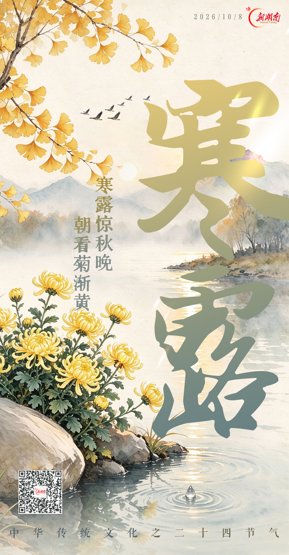 海报丨寒露惊秋晚 朝看菊渐黄