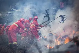 《森林草原防灭火条例》