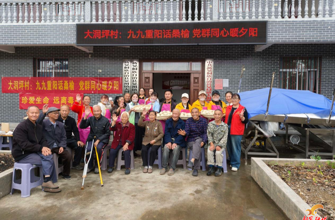 大洞坪村开展重阳节暖心志愿服务活动