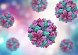 酒精能杀灭诺如病毒？2026年9月科学领域流言榜来了→
