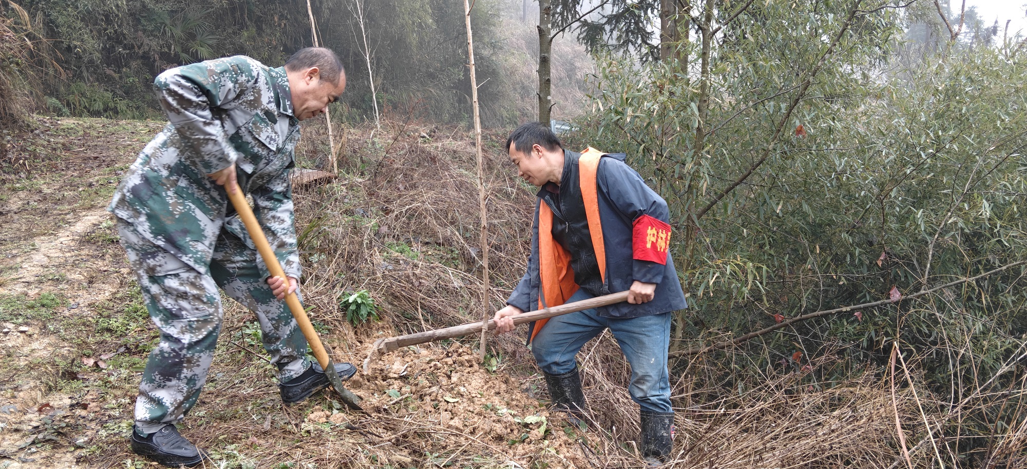 鱼市镇：植树添绿正当时 生态建设再发力