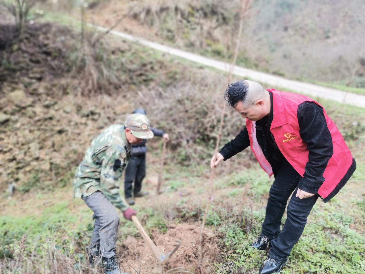 步头降苗族乡干群齐心添新绿