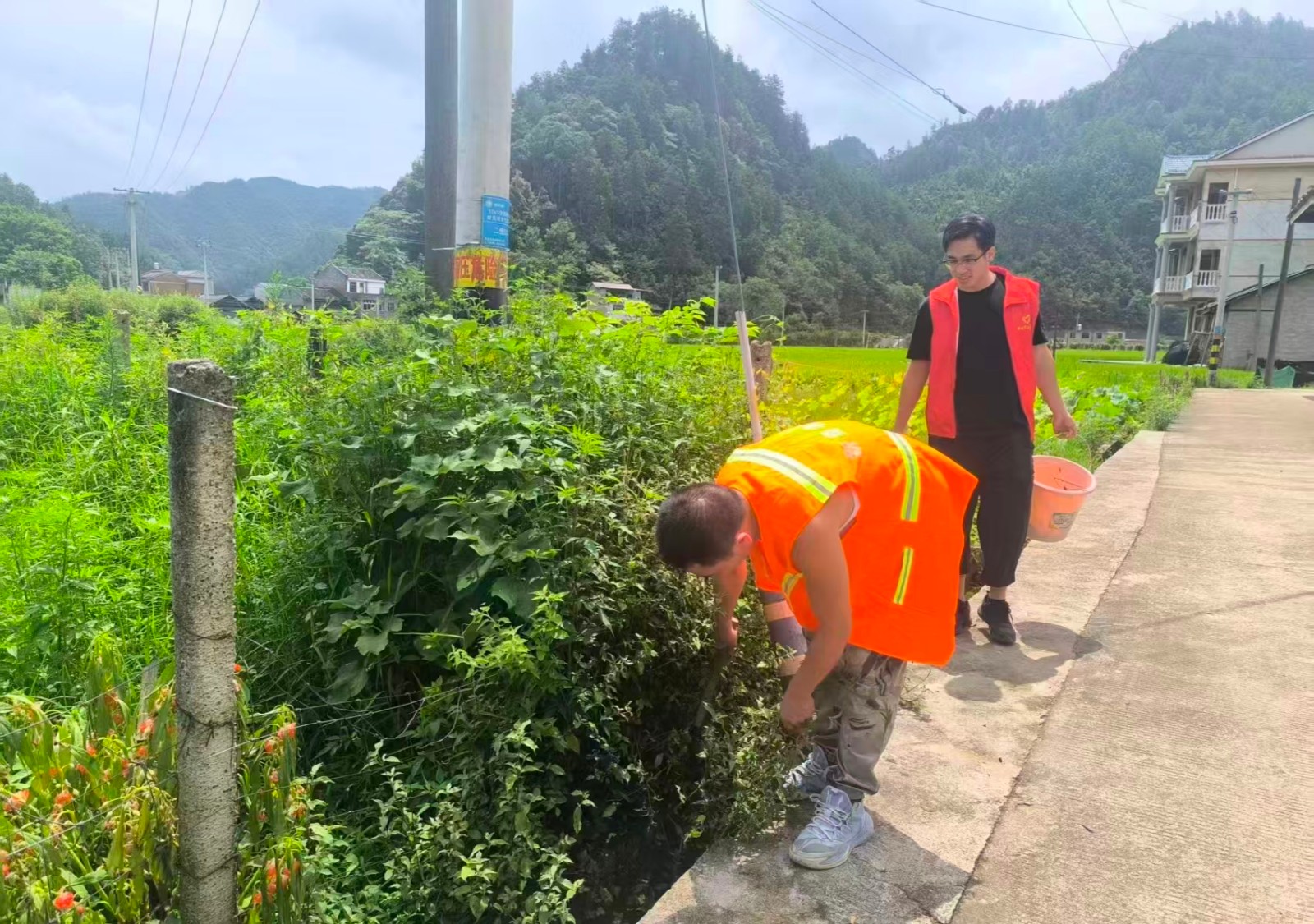 凉伞镇：人居环境集中整治再发力 绘就和美乡村新颜值