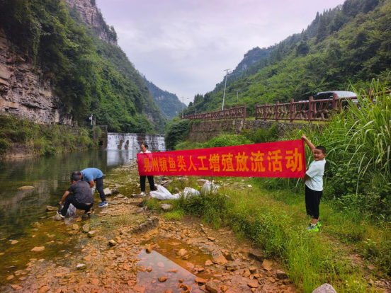 增殖放流护碧水生态赋能促振兴——晃州镇开展人工增殖放流活动